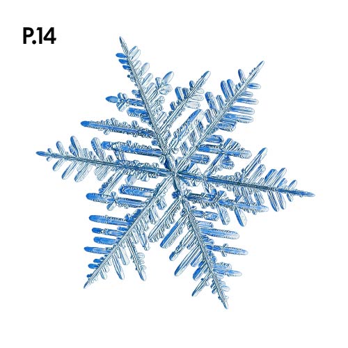 Přírodopis_motiv14.jpg Přírodopis_motiv14.jpg